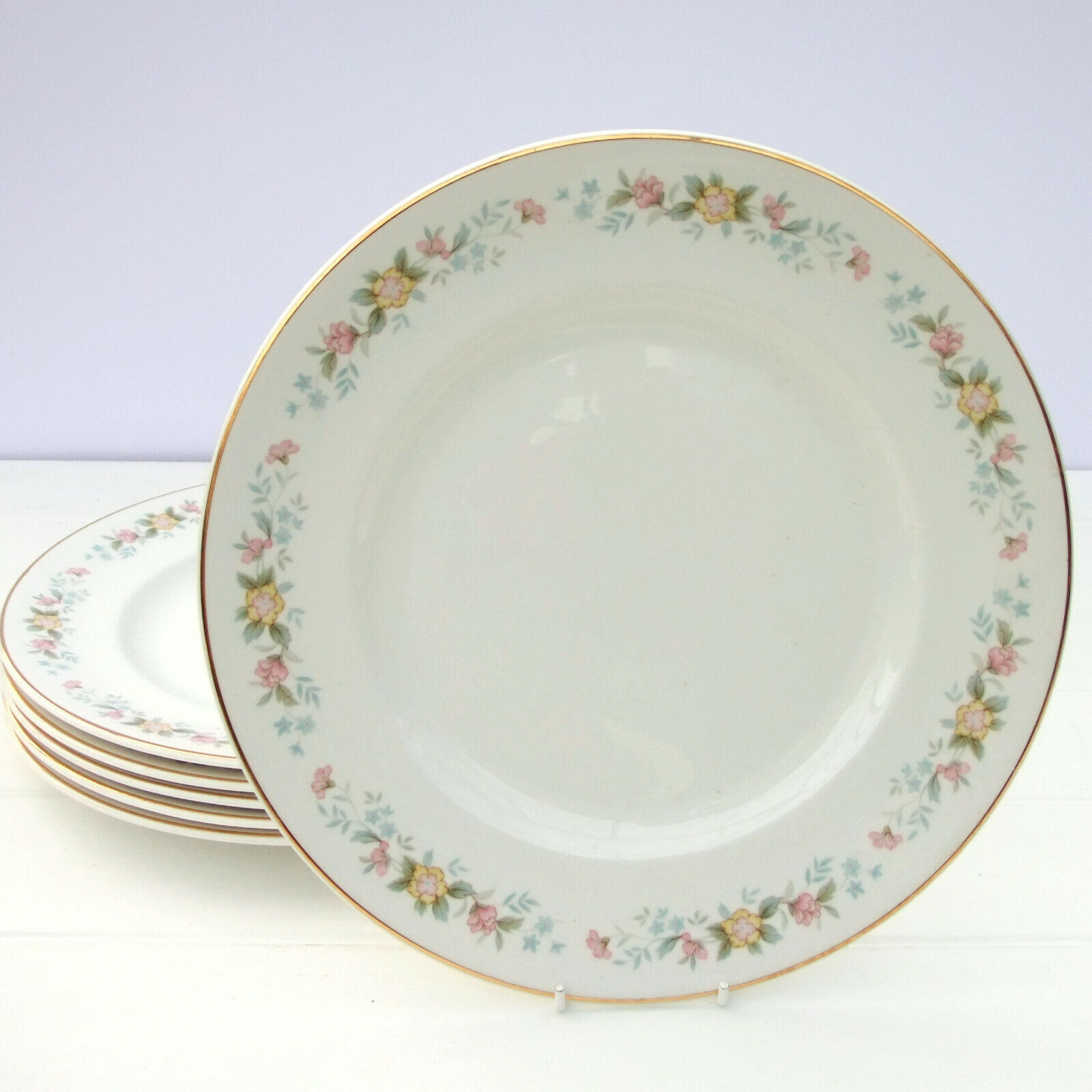 Vintage Mayfair Alpine Bone China Floral Set of 6 Dinner Plates on The ...