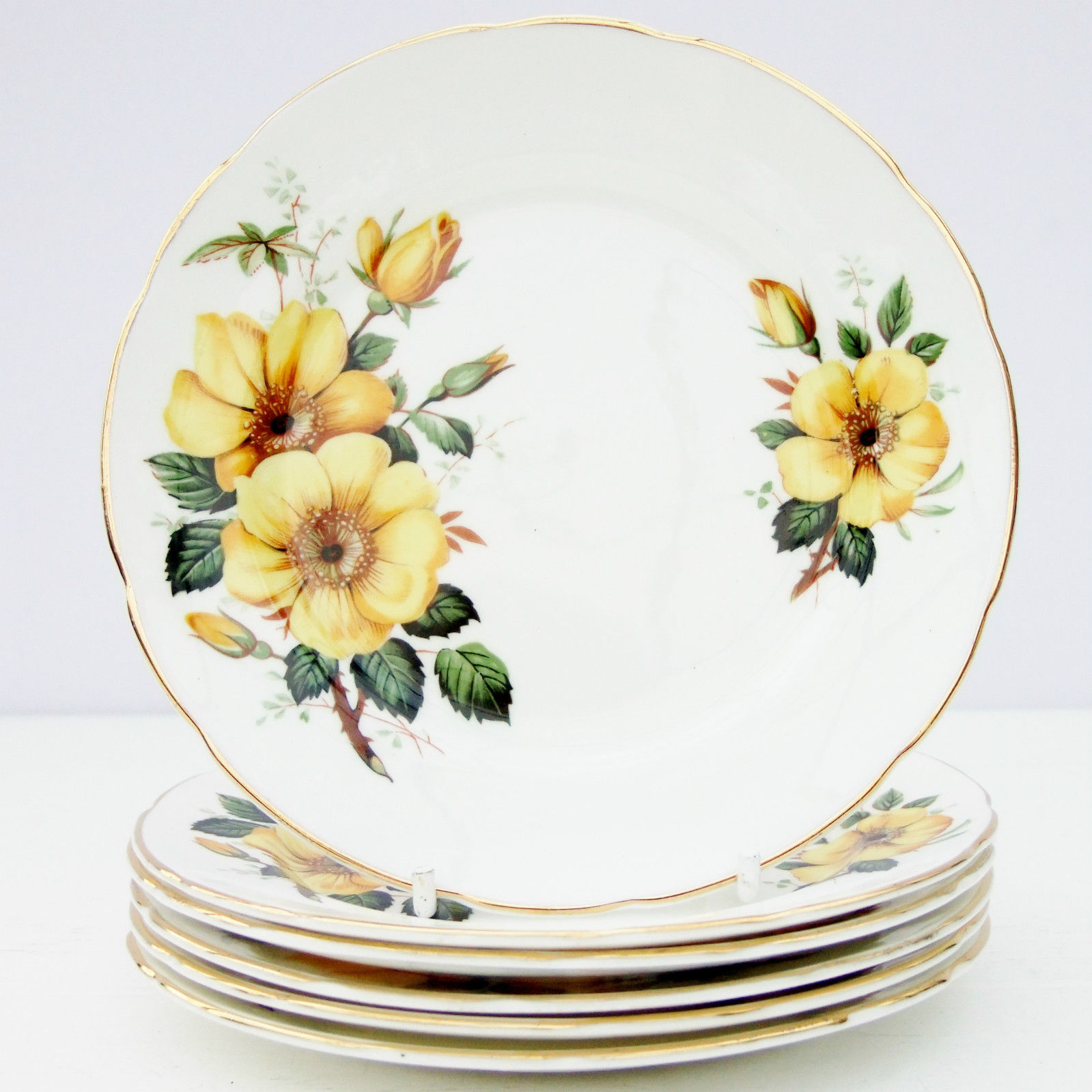 Vintage Old Royal Bone China Yellow Rose Floral Set 6 Tea Plates on The ...